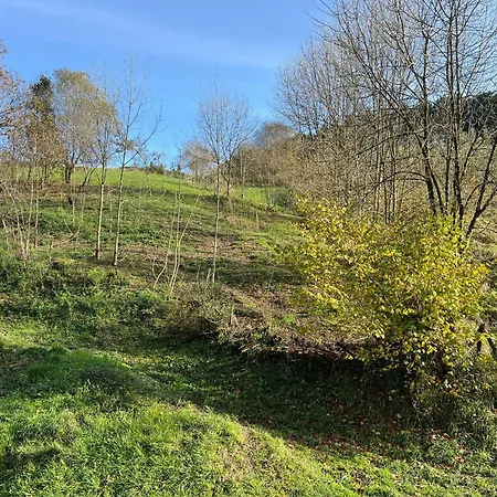 Zubizar Деревянный коттедж *